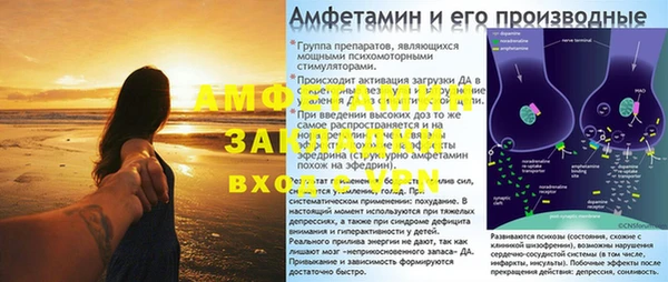 кокс Богородицк